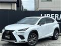 2019 Lexus NX