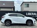 2019 Lexus NX