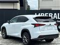2019 Lexus NX
