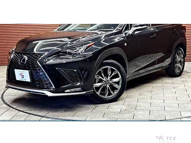 2019 Lexus NX
