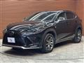 2019 Lexus NX