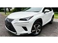 2019 Lexus NX
