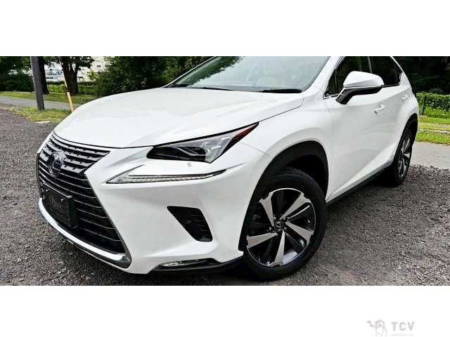 2019 Lexus NX
