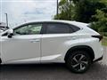 2019 Lexus NX