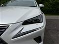 2019 Lexus NX