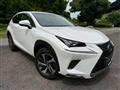 2019 Lexus NX