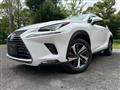 2019 Lexus NX
