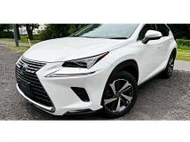 2019 Lexus NX