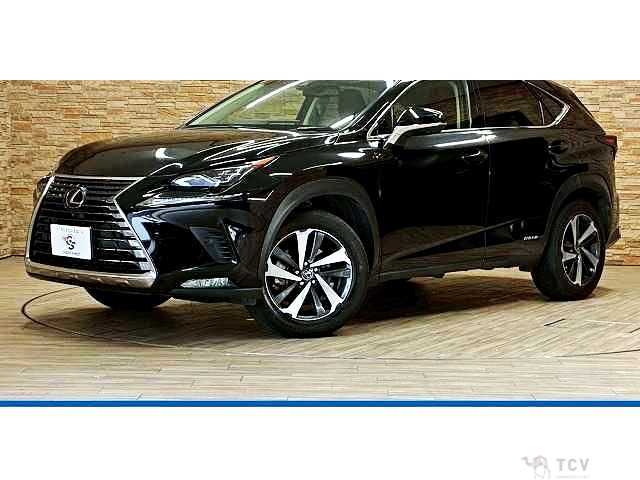 2019 Lexus NX