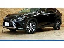 2019 Lexus NX