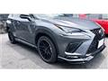 2019 Lexus NX