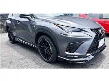 2019 Lexus NX