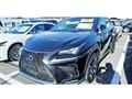 2019 Lexus NX