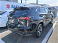 2019 Lexus NX