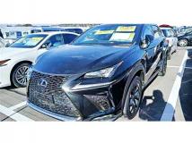 2019 Lexus NX
