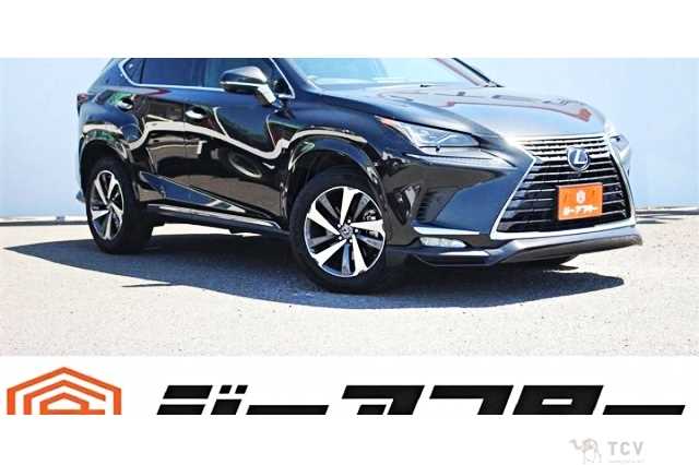 2021 Lexus NX