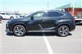 2021 Lexus NX