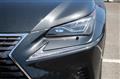 2021 Lexus NX