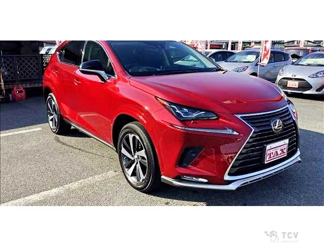 2021 Lexus NX