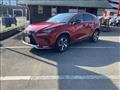 2021 Lexus NX