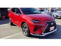 2021 Lexus NX
