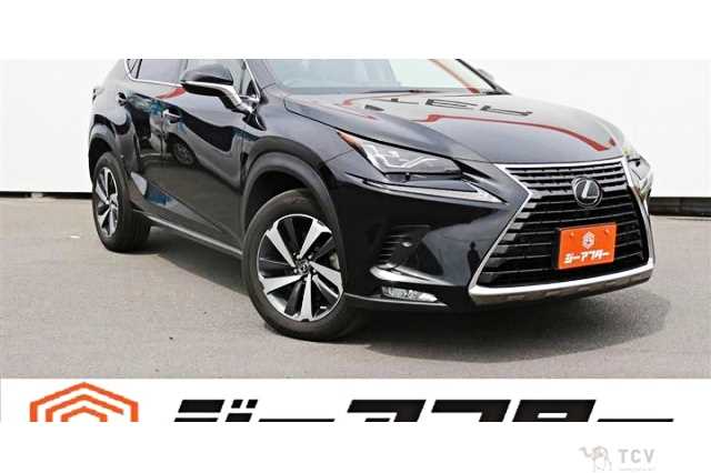 2021 Lexus NX