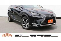 2021 Lexus NX