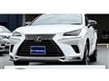 2021 Lexus NX