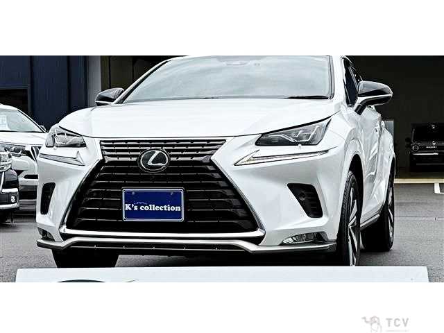 2021 Lexus NX