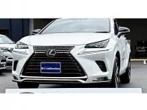 2021 Lexus NX