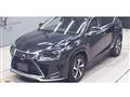 2021 Lexus NX