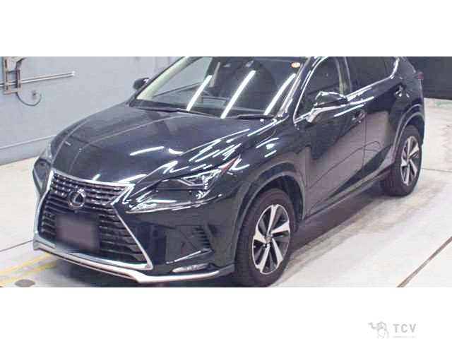 2021 Lexus NX