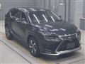 2021 Lexus NX