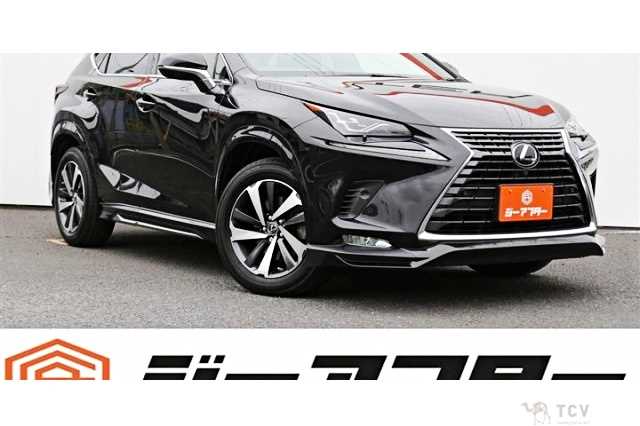 2021 Lexus NX