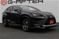 2021 Lexus NX