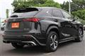 2021 Lexus NX