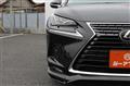 2021 Lexus NX