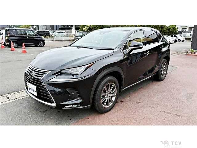 2021 Lexus NX