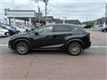 2021 Lexus NX