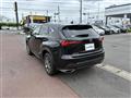 2021 Lexus NX