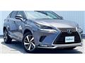 2021 Lexus NX