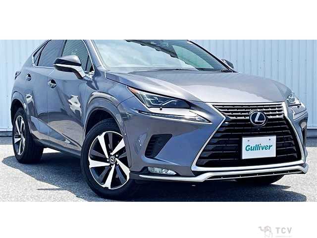 2021 Lexus NX