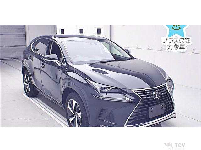 2021 Lexus NX