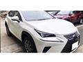 2021 Lexus NX