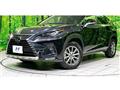 2021 Lexus NX