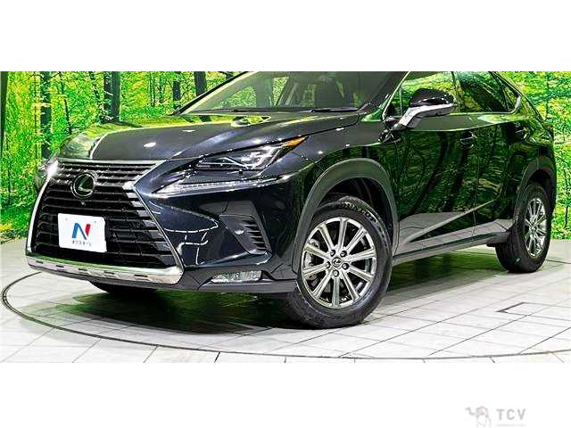 2021 Lexus NX