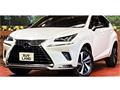 2021 Lexus NX
