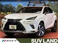 2021 Lexus NX