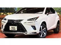 2021 Lexus NX