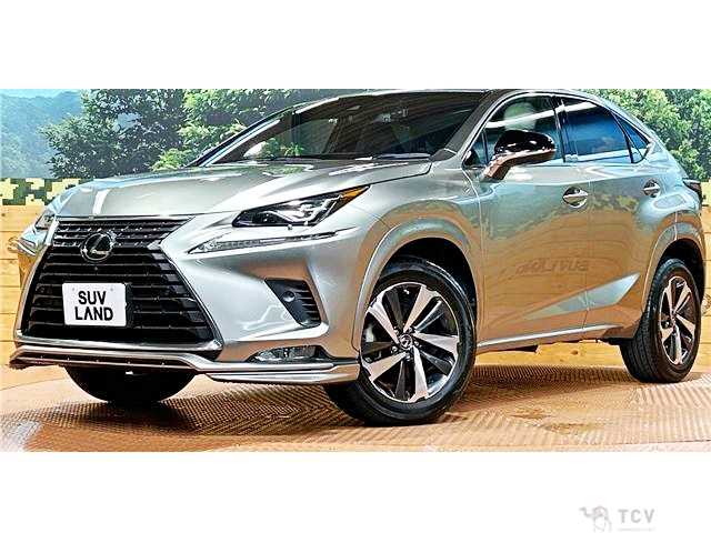 2021 Lexus NX